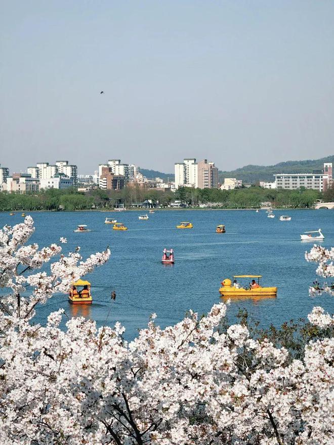 51阜陽出發(fā)【花漾金陵】秦淮河夫子廟中山陵侵華日軍南京大屠殺遇難同胞紀(jì)念館玄武湖二日游(圖5)